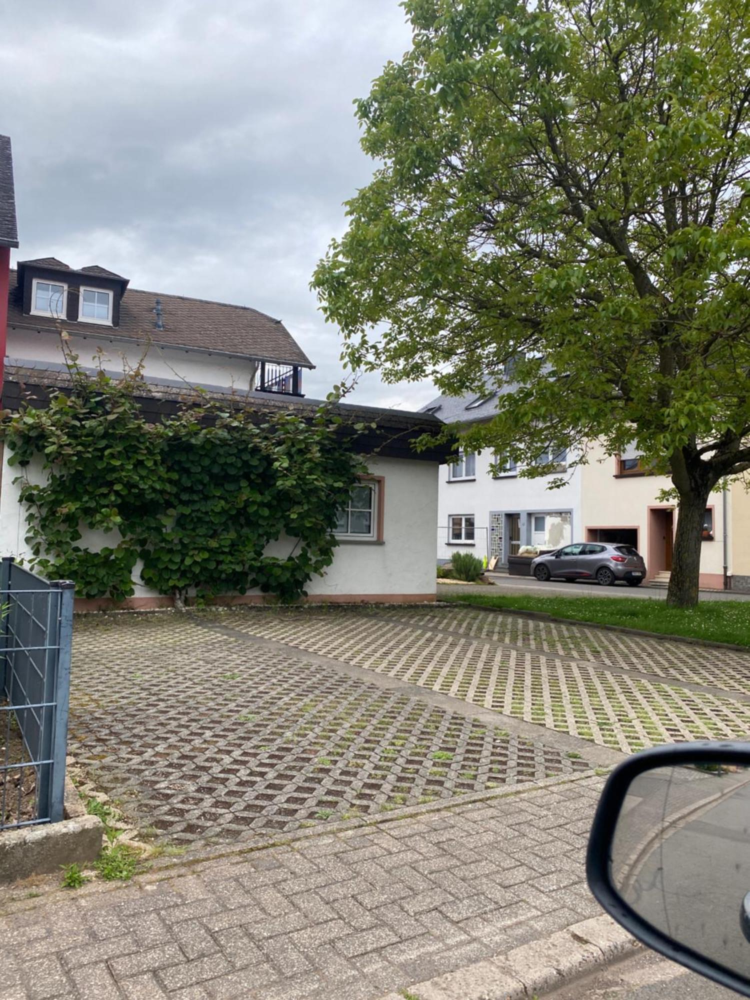 Fewo-Zum-Nussbaum - Mosel 2 Schweich Kültér fotó